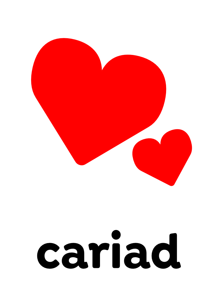 Two Heart Cariad Poster