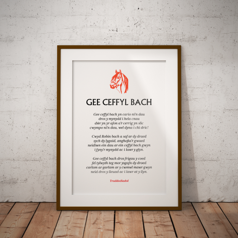 Gee Ceffyl Bach Poster