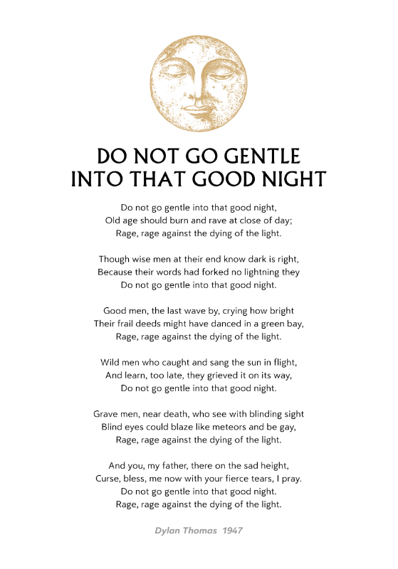 Do Not Go Gentle Poster