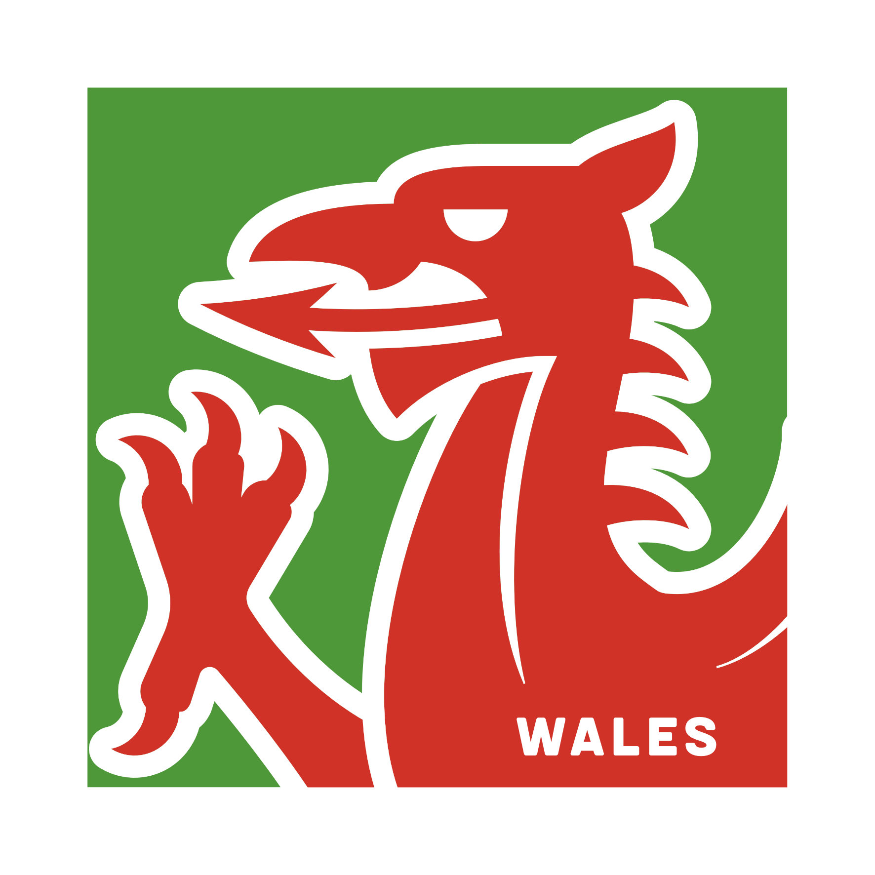 Modern Dragon Wales Shirt