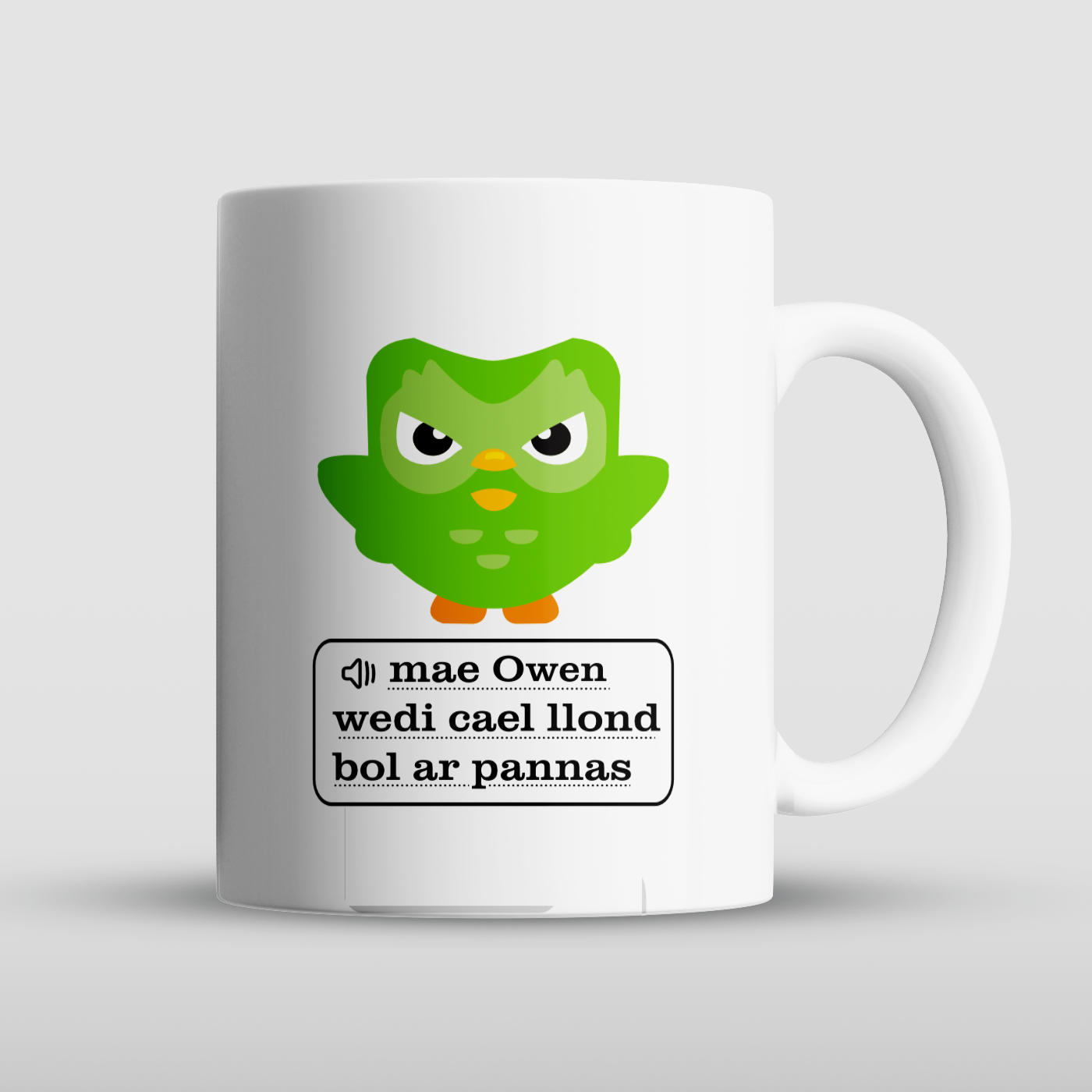 Duolingo Joke Mug