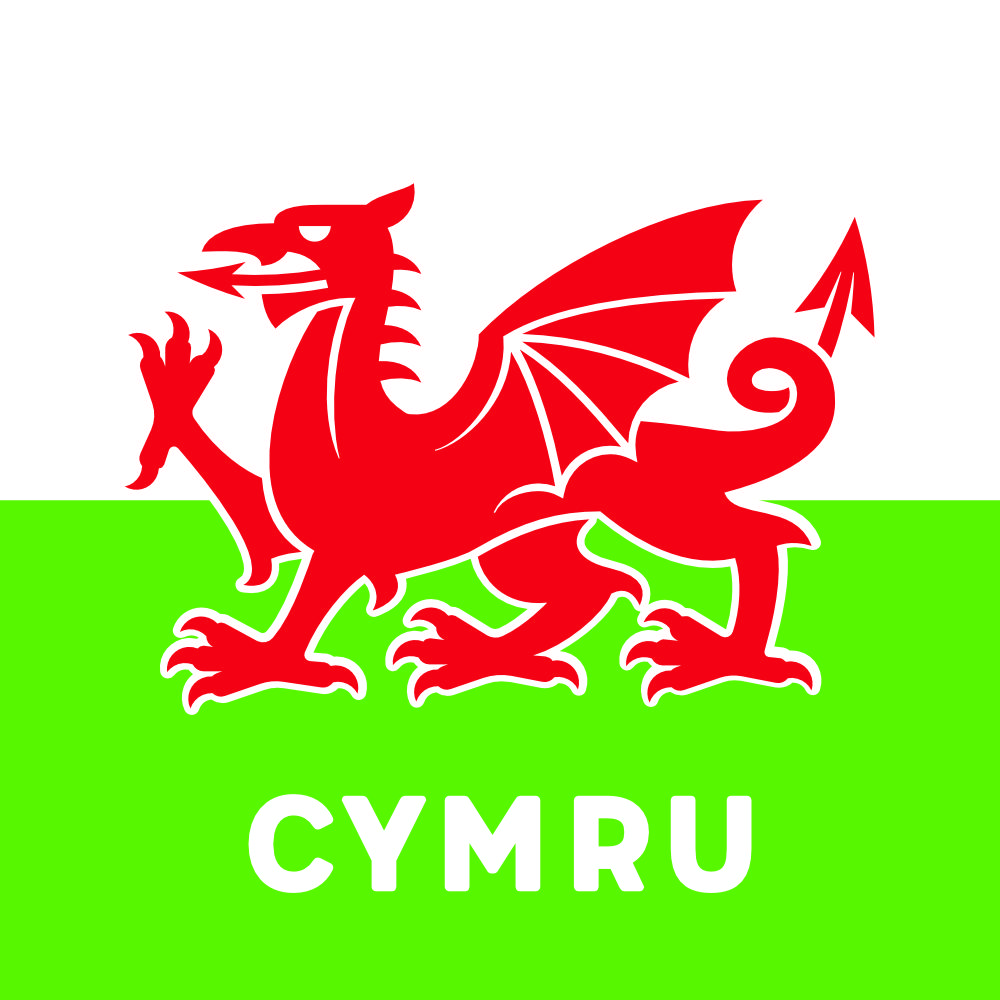 Modern Dragon Cymru Coaster