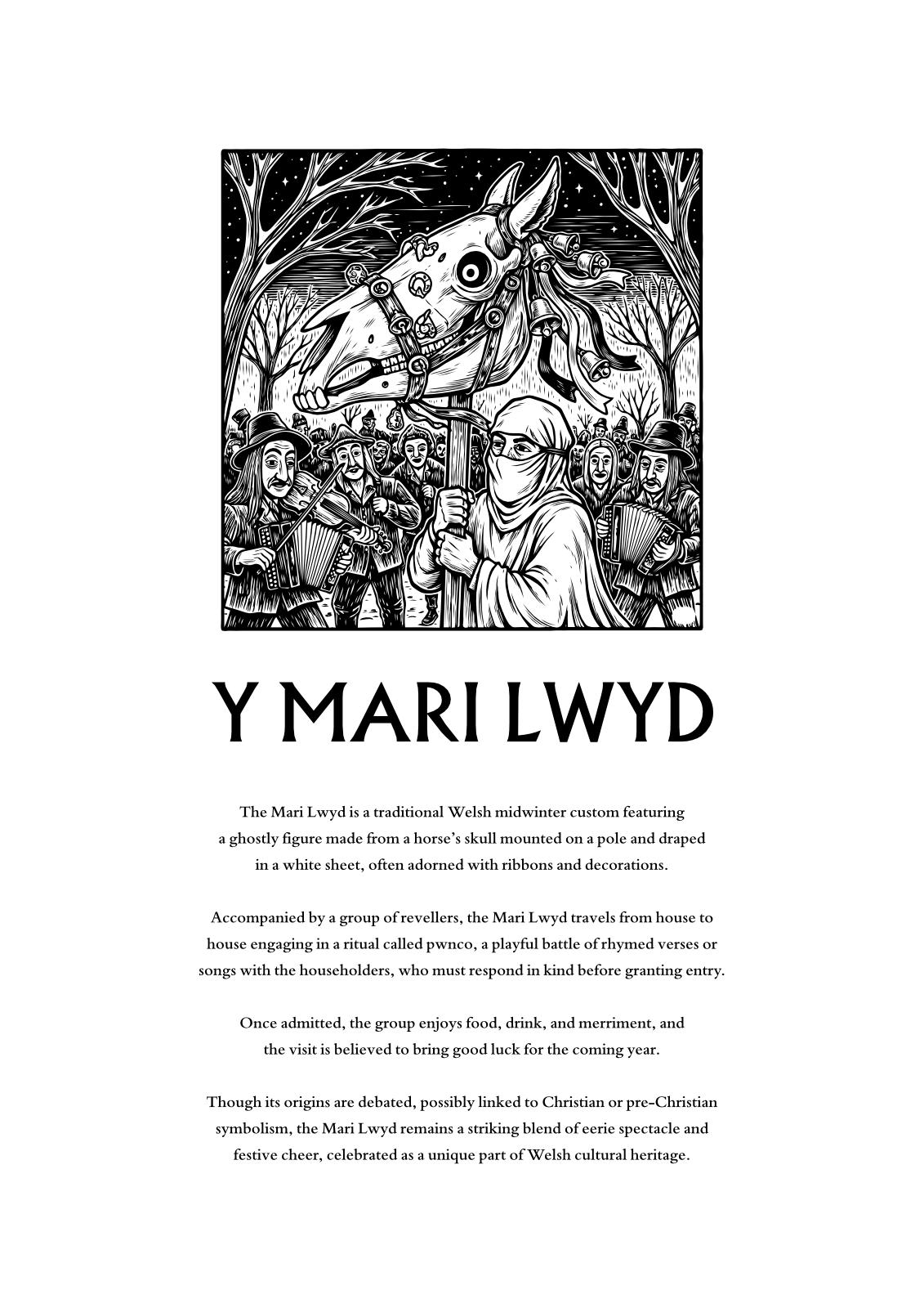 Poster.explaining the Welsh tradition of The Mari Lwyd