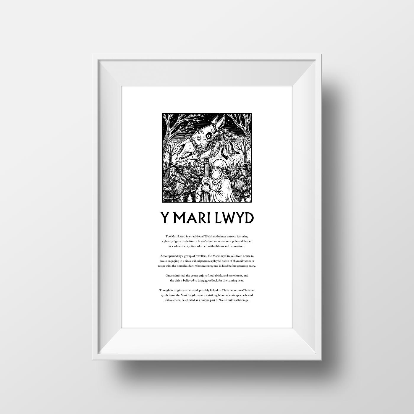 Poster.explaining the Welsh tradition of The Mari Lwyd