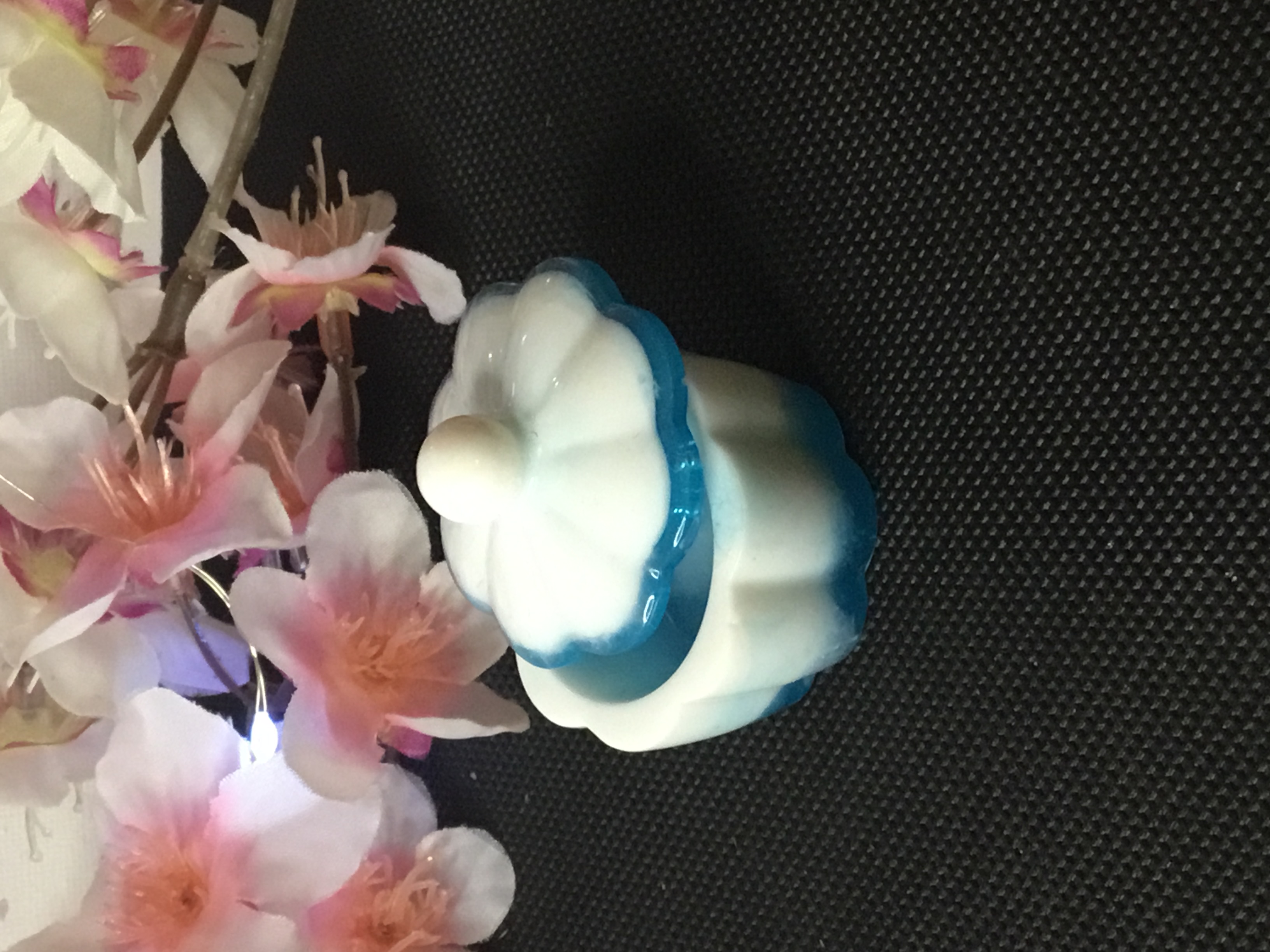 Boîte à dent de lait blanche et bleu