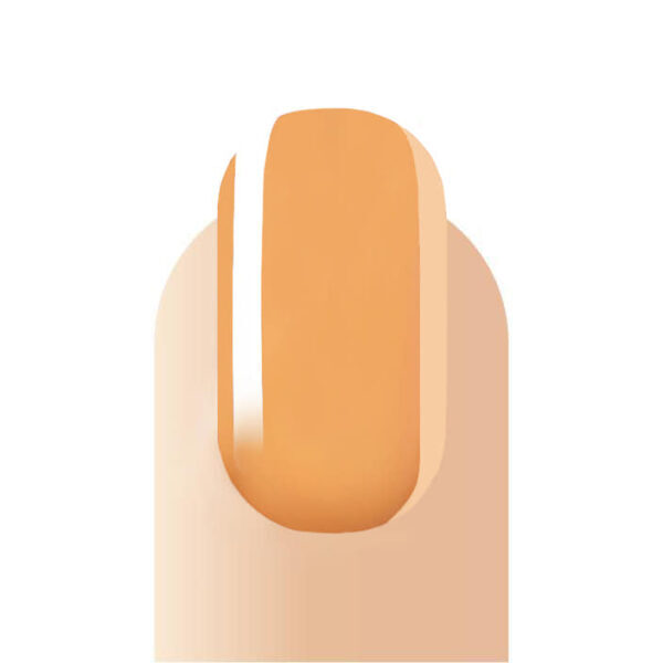 Victoria Boro GEL POLISH B41