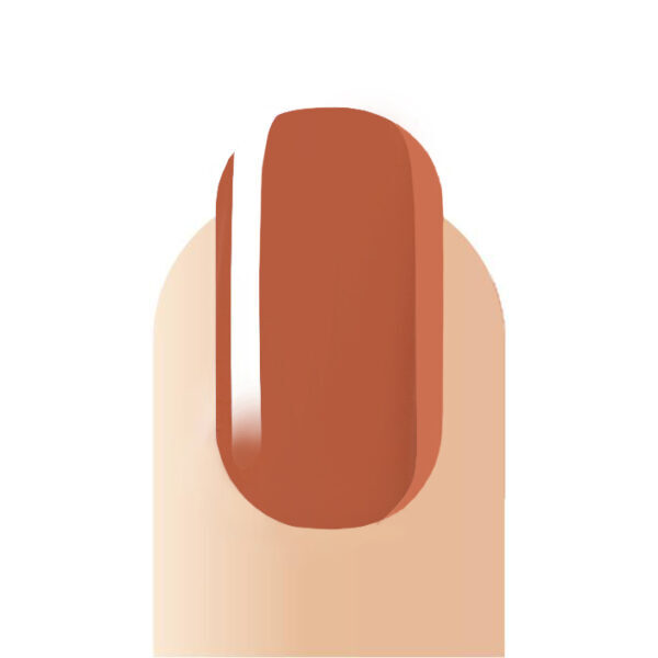 Victorisa Boro GEL POLISH B58