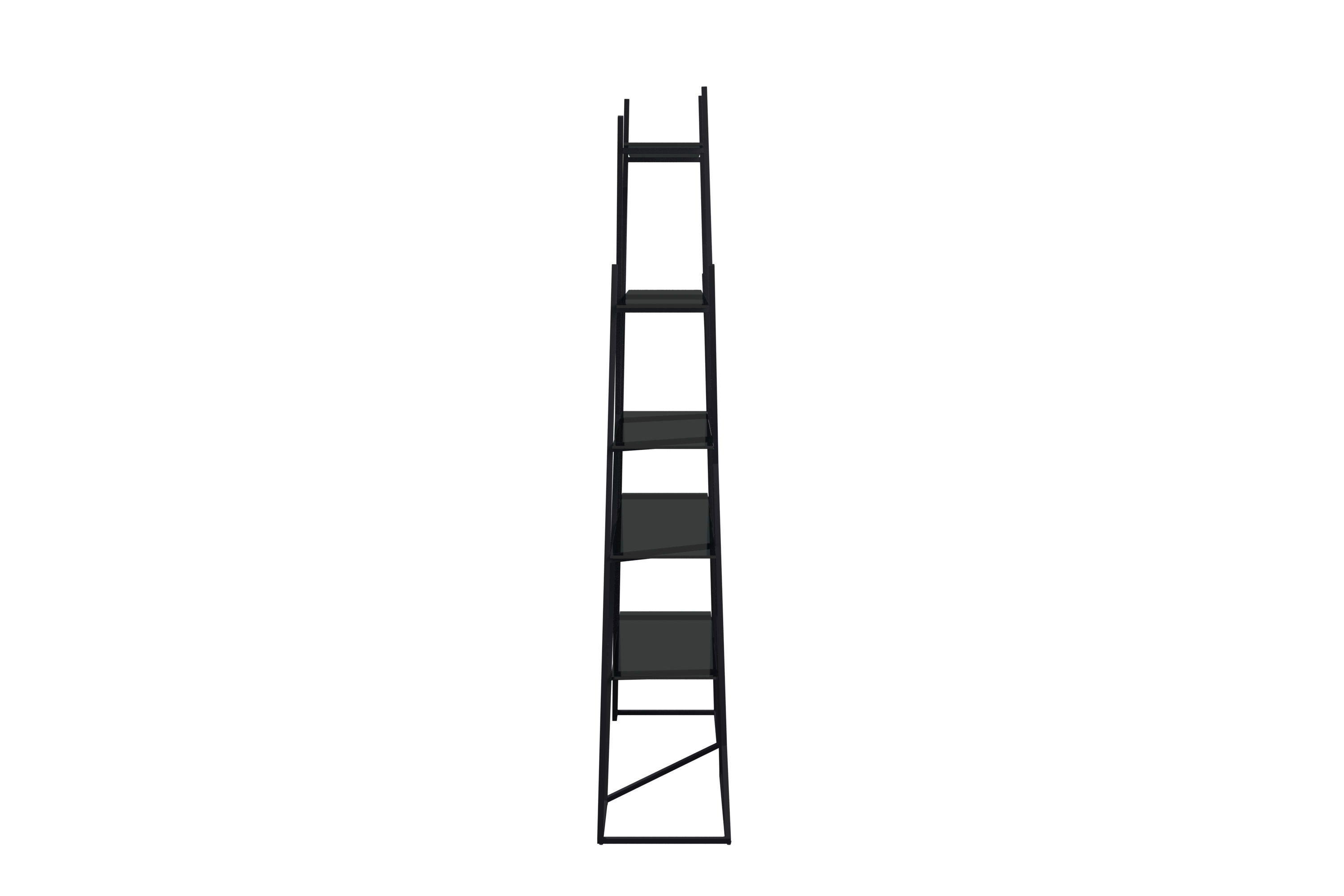 Lentyna FS23