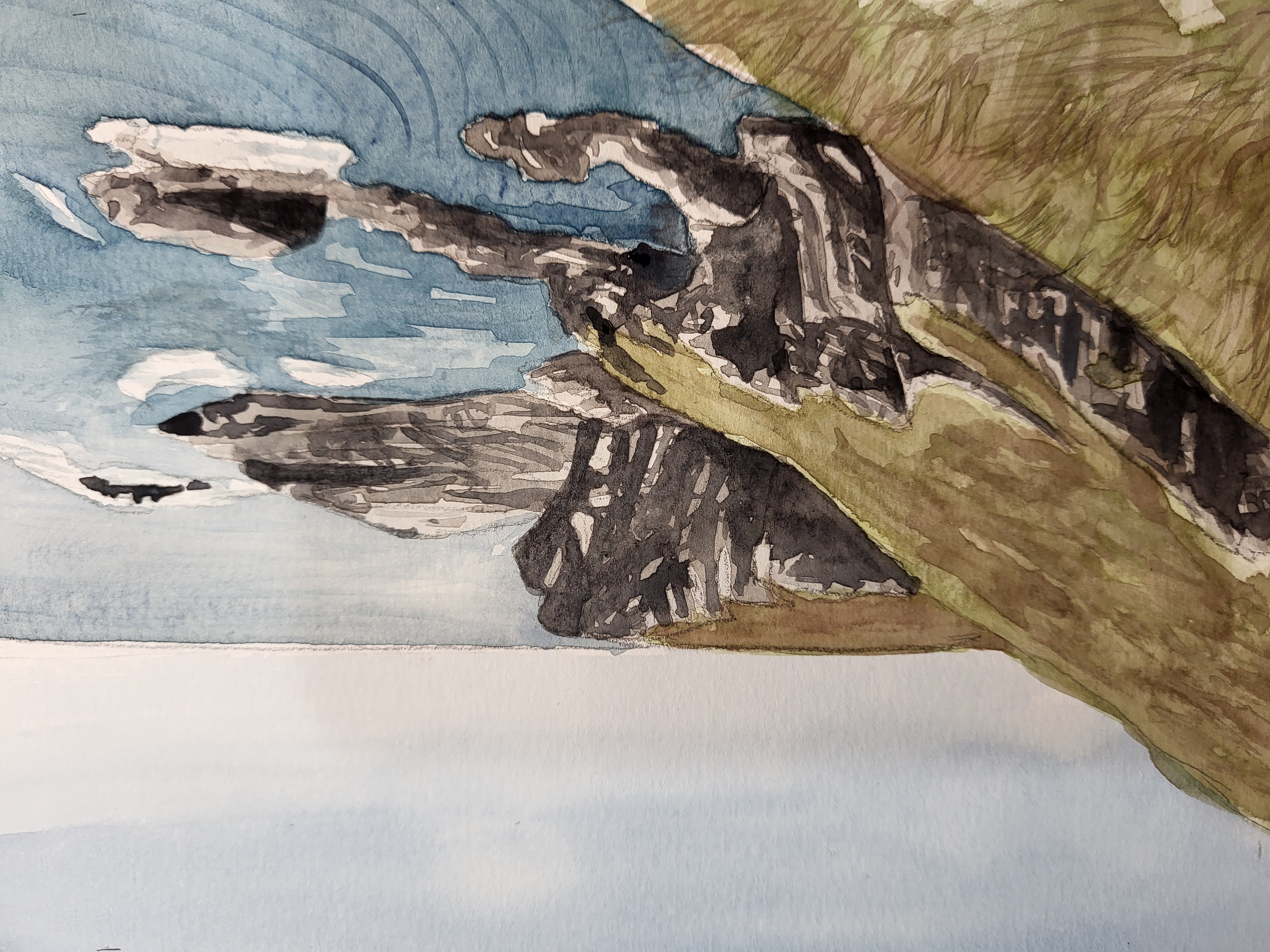 Cliffs of Courage