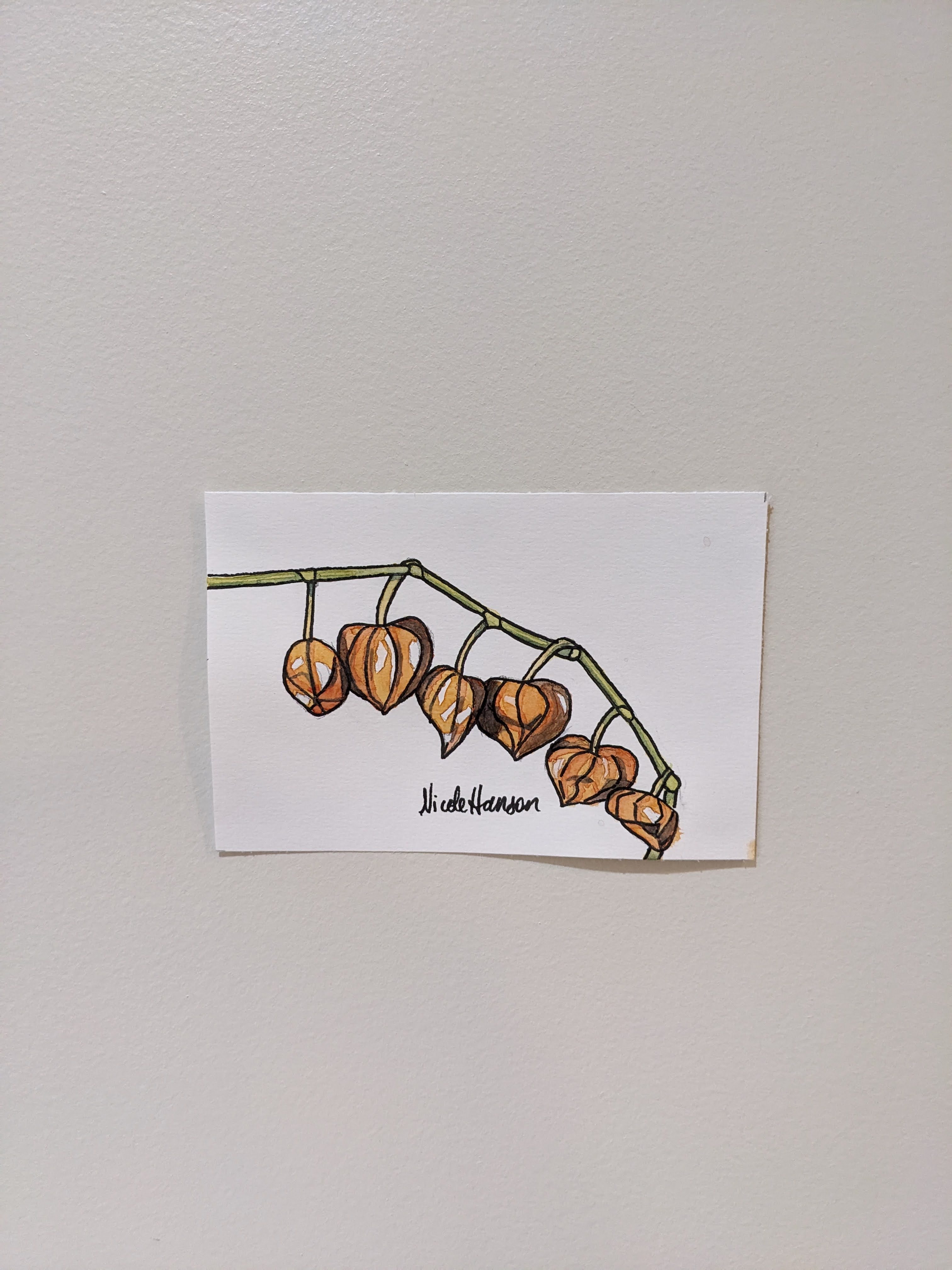 Winter Cherry, Original