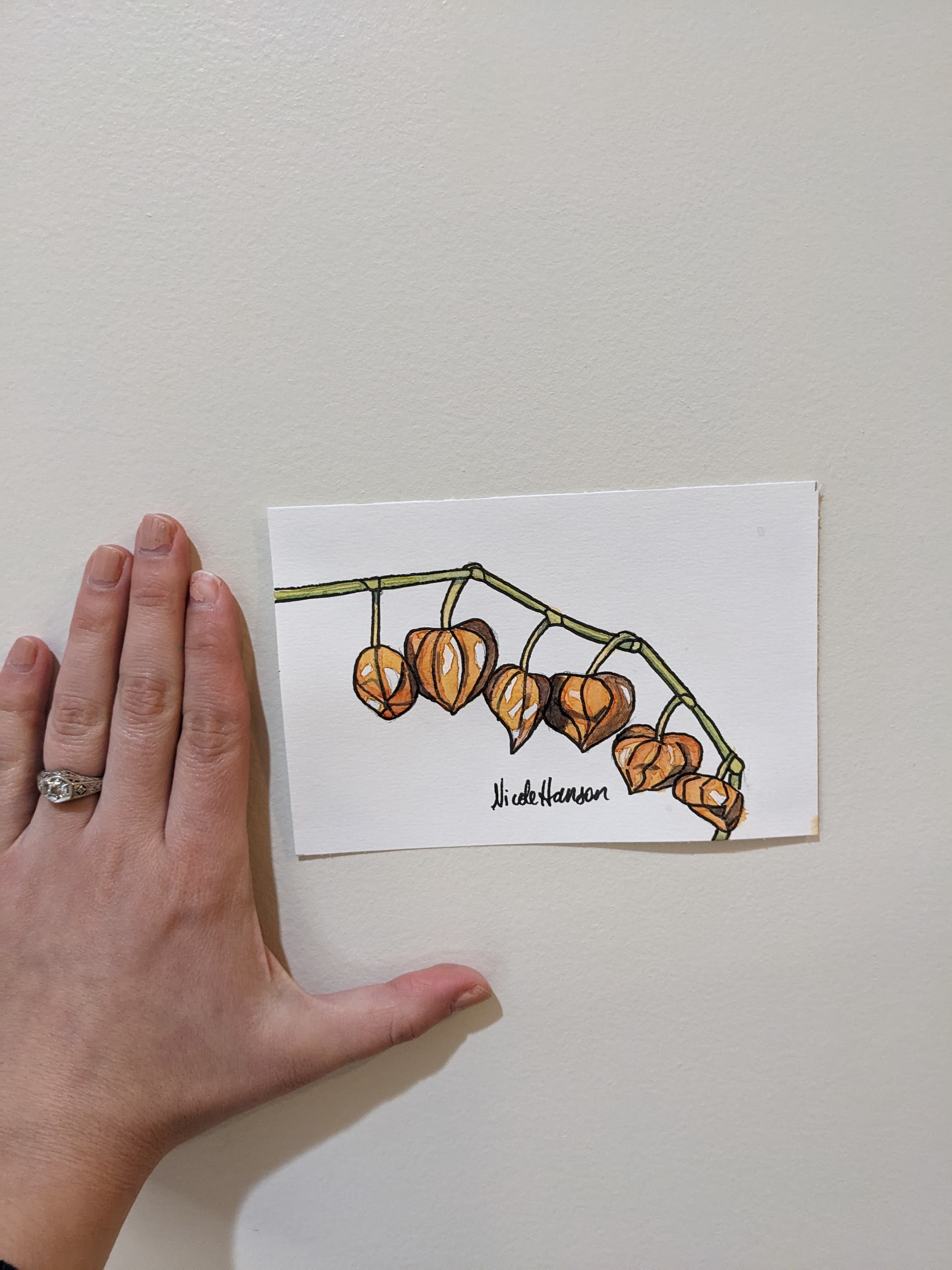 Winter Cherry, Original