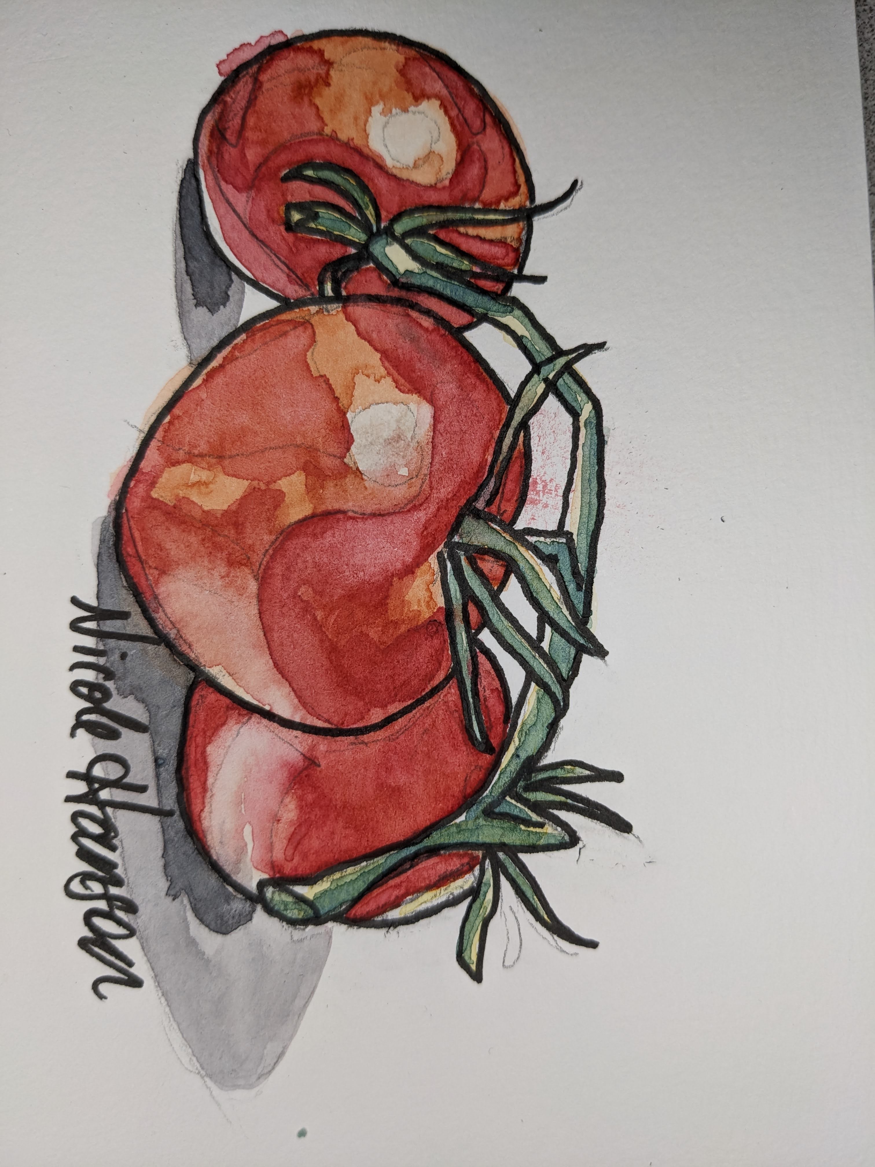 Tomatos, Original