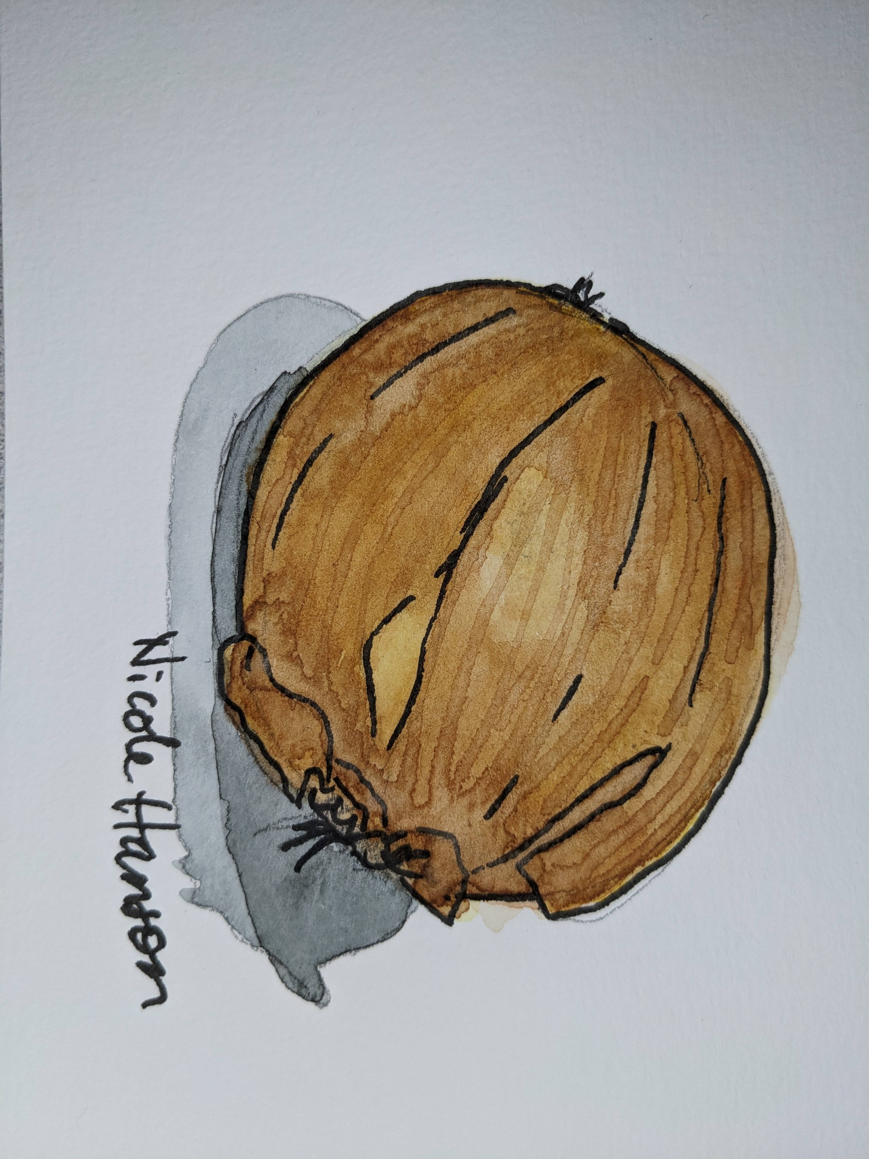 Yellow Onion, Original