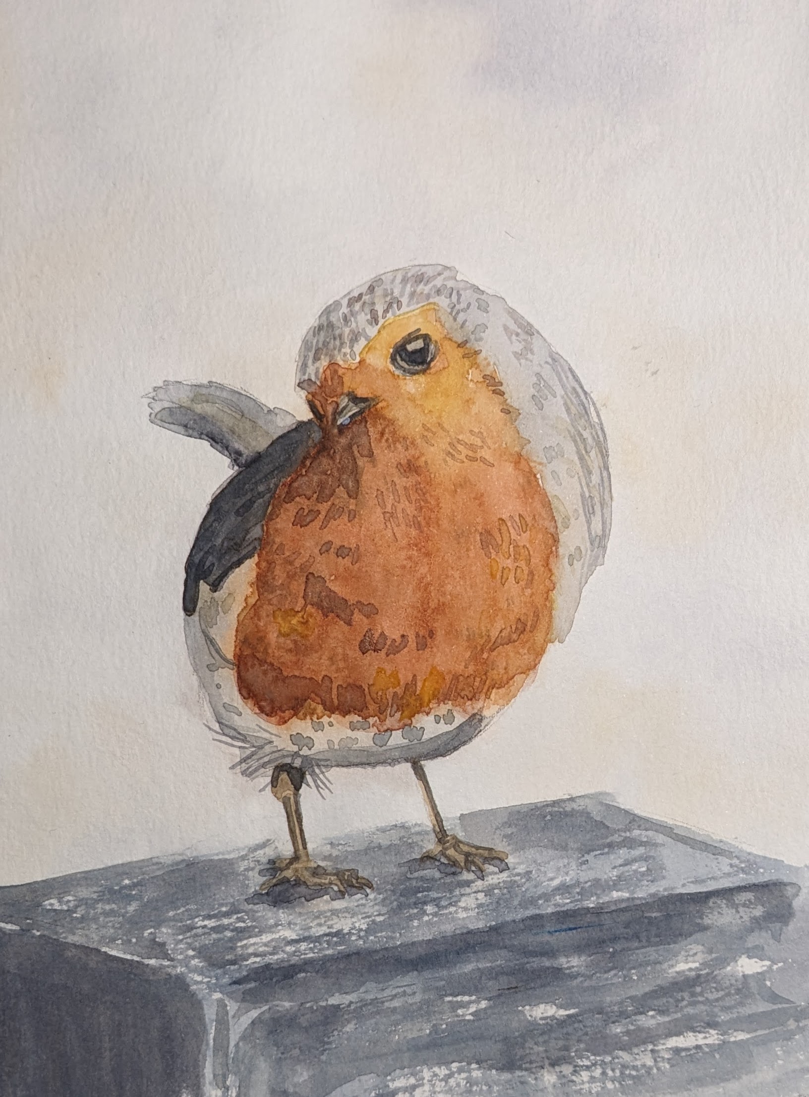 Curious Robin