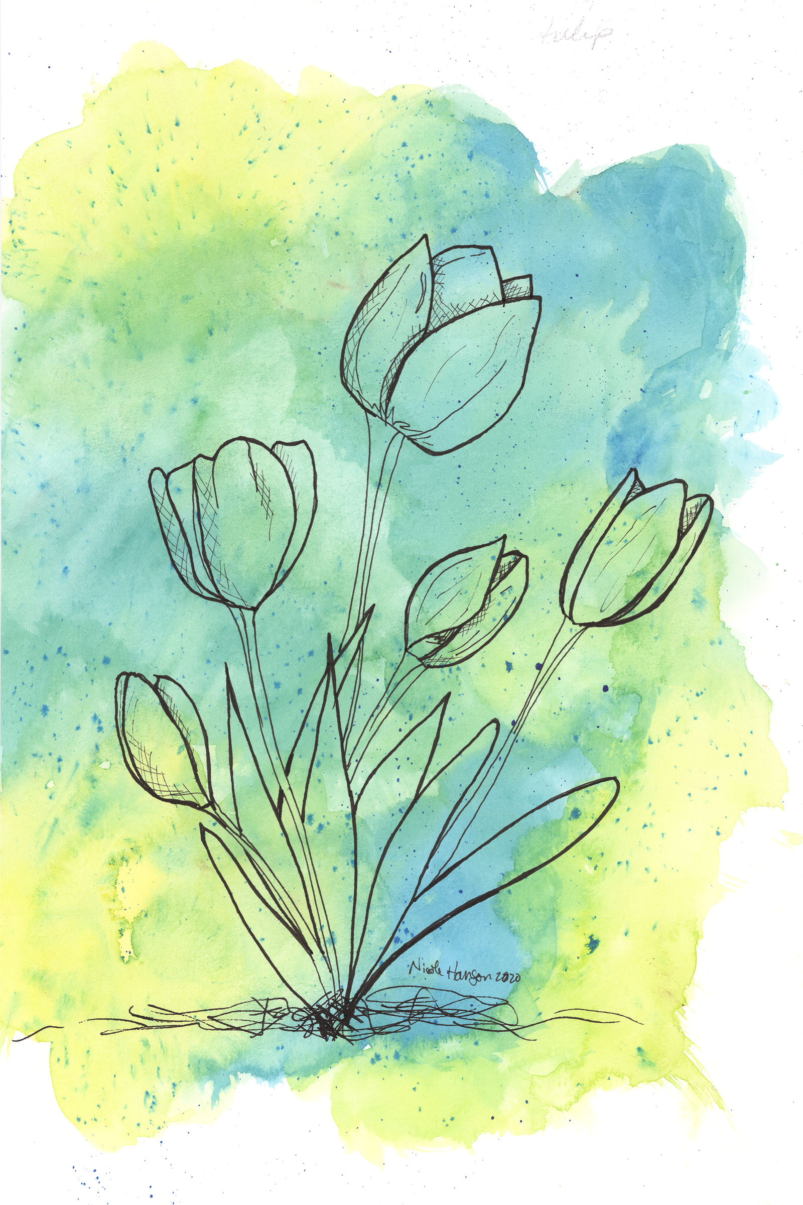 Tulips