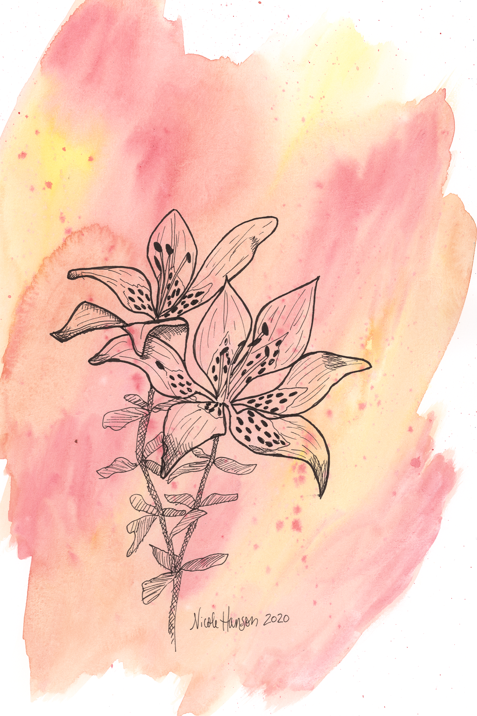 Tiger Lilies