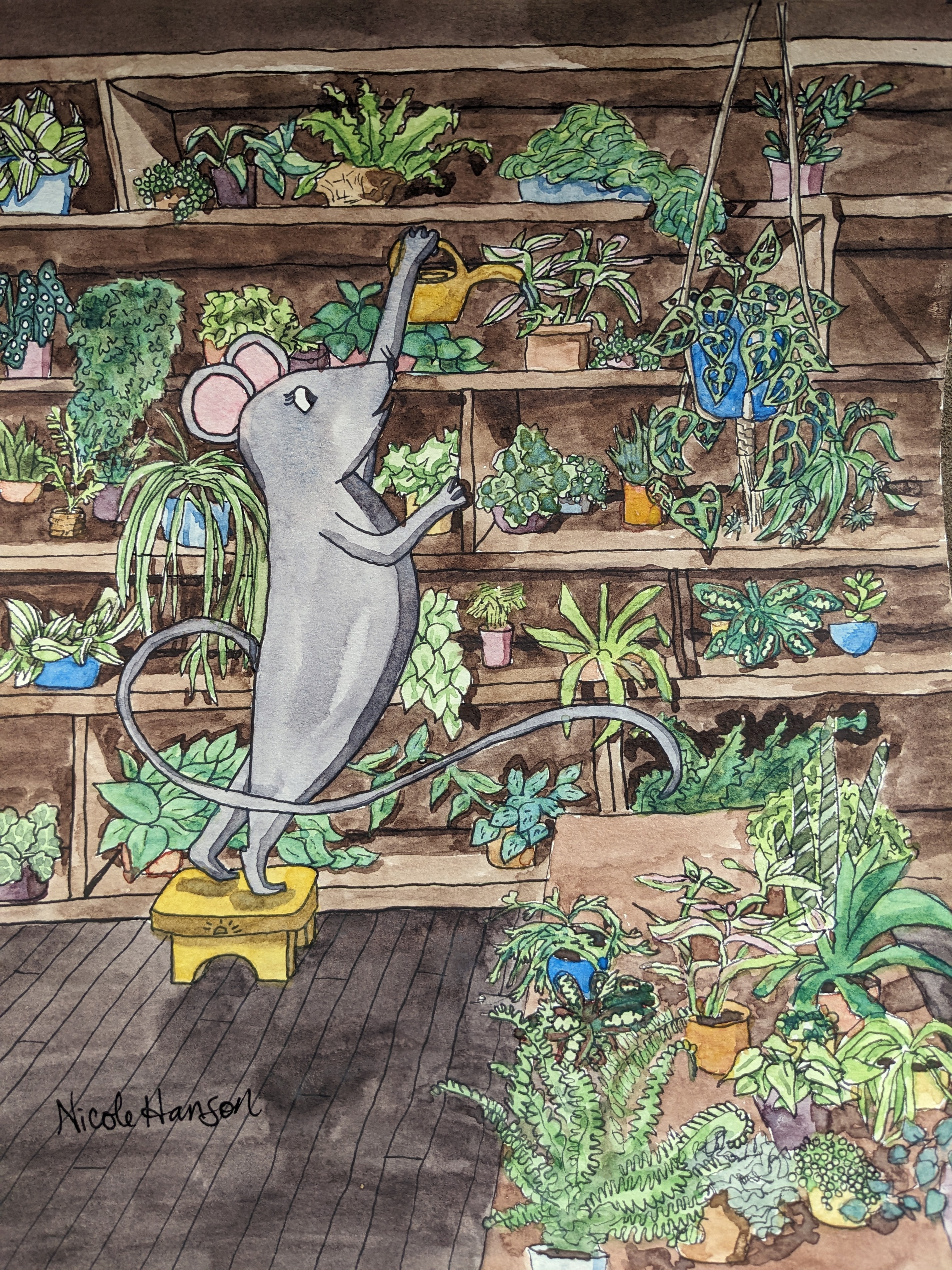 Mouse Watering Plants