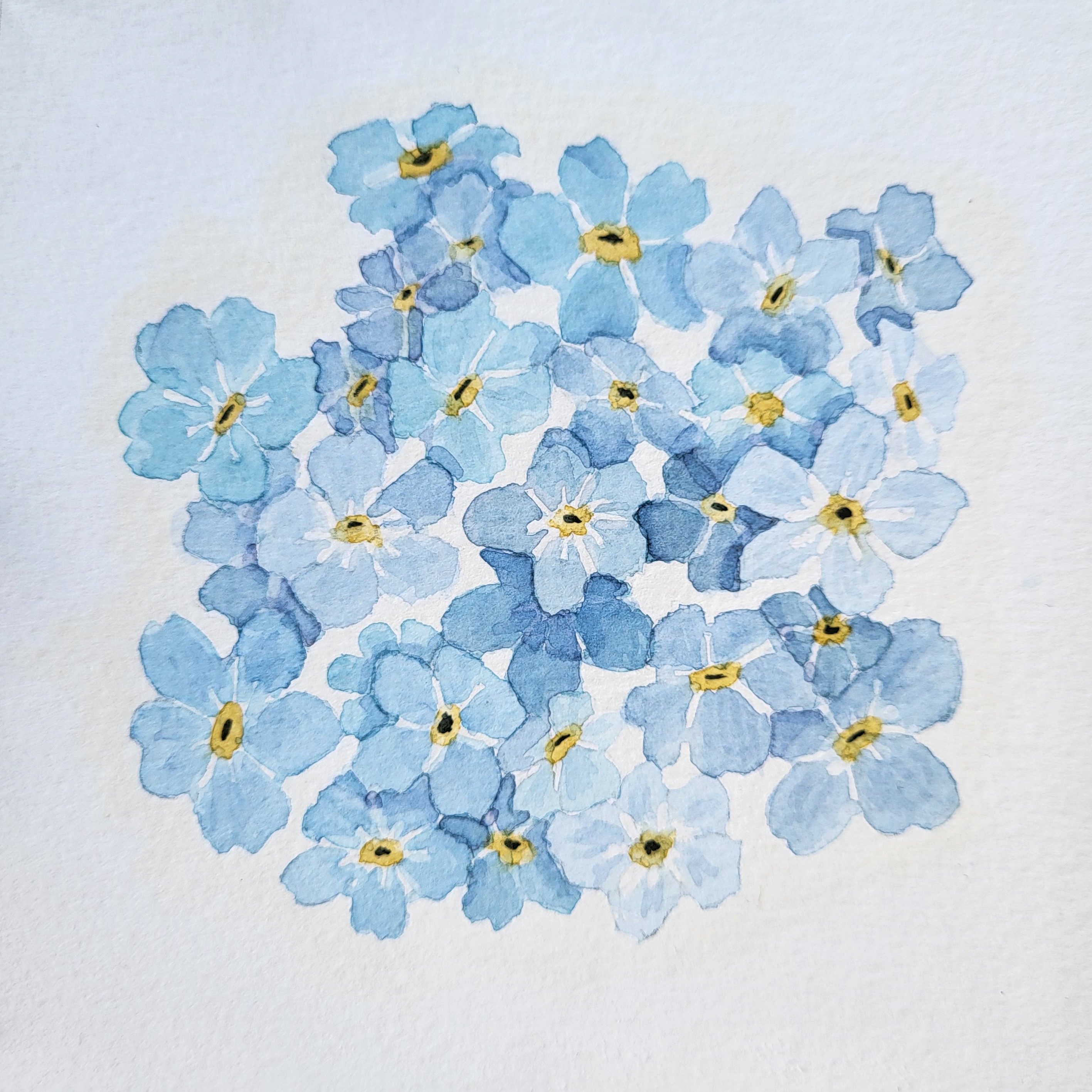 Forget Me Not