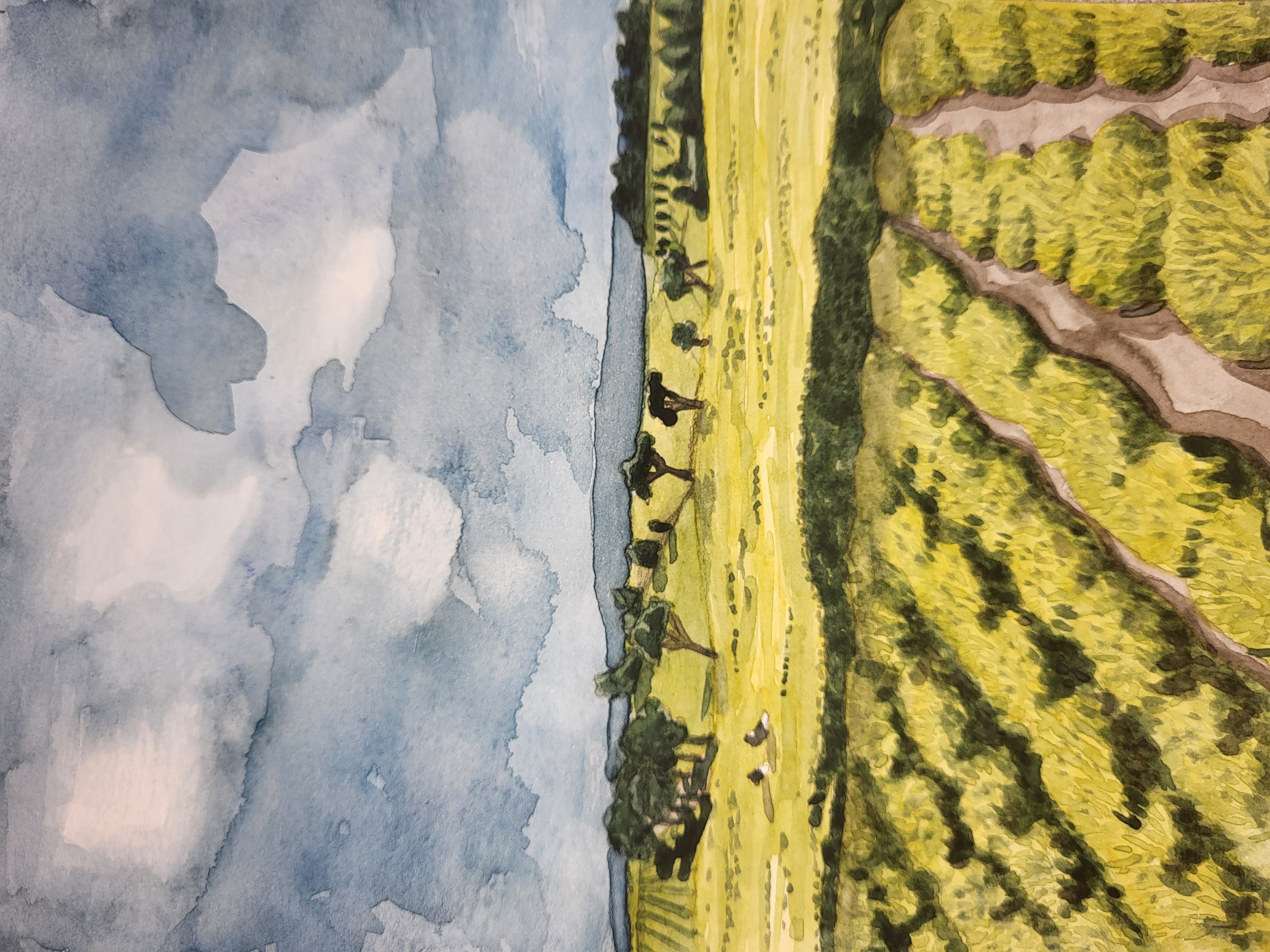 Kenyan Tea Fields, Original