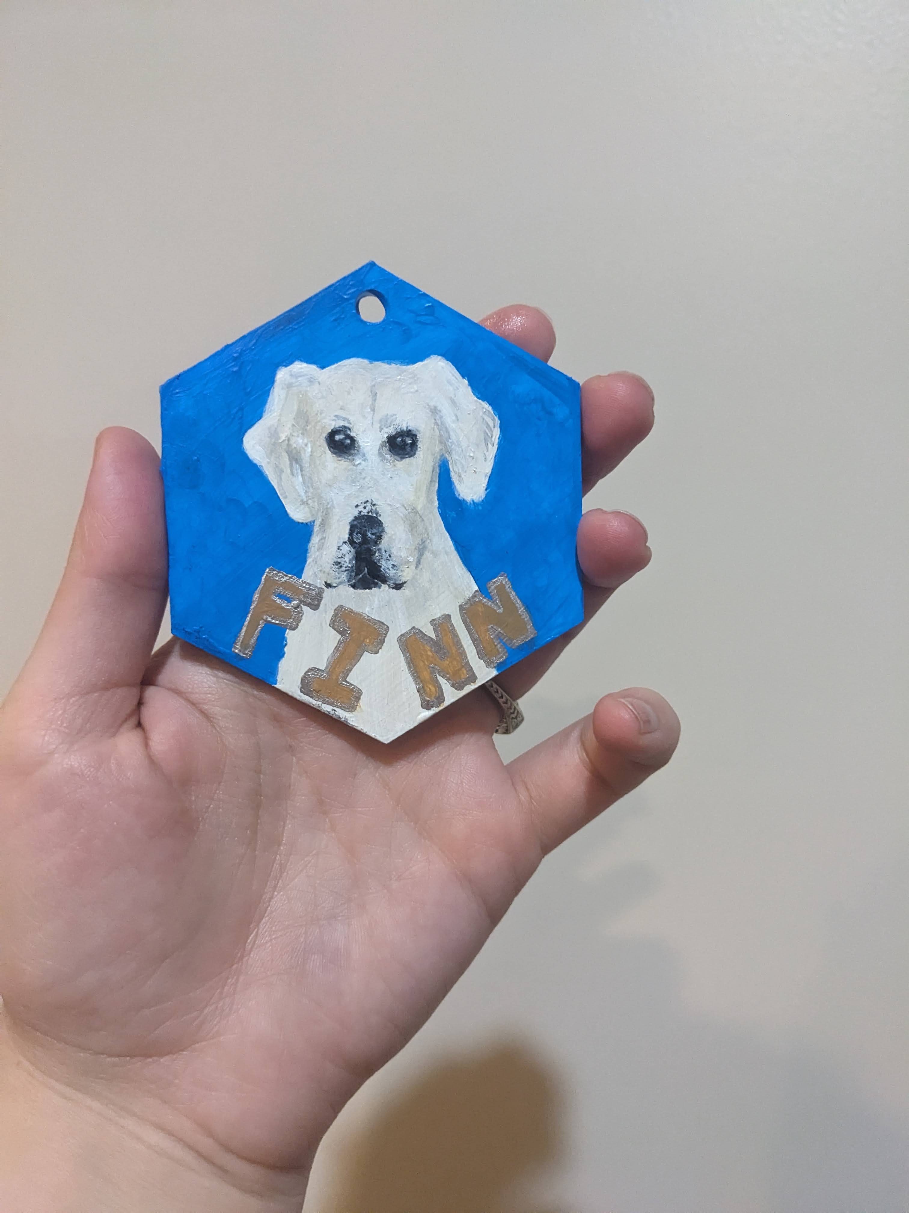 Custom Hexagon Ornamant, in acrylic