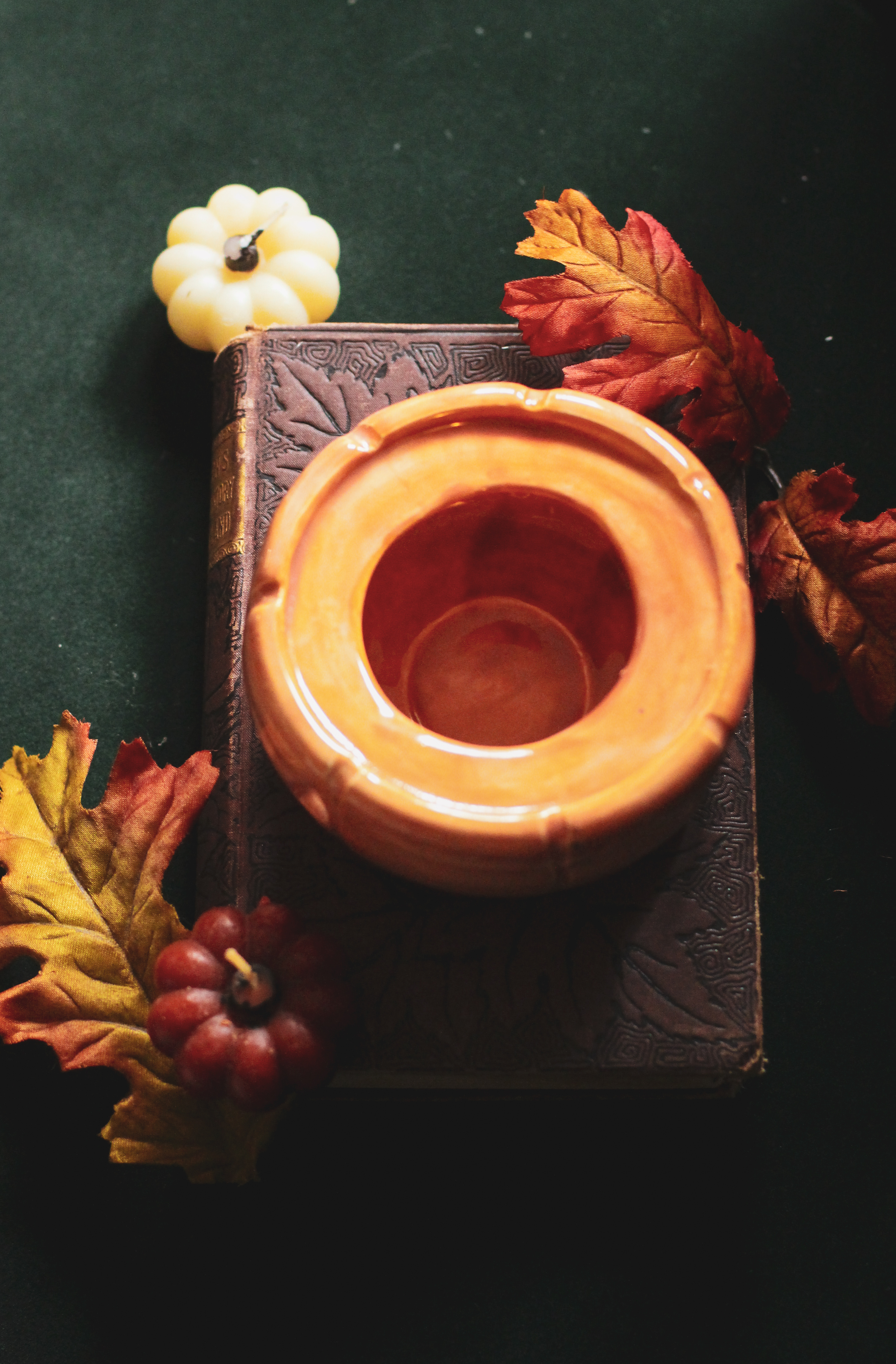 Pumpkin Mug Warmer