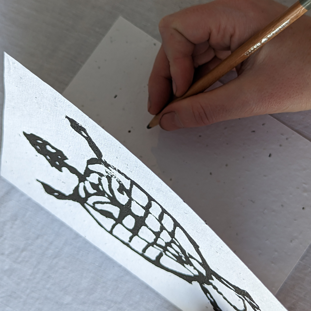 Fish Skeleton