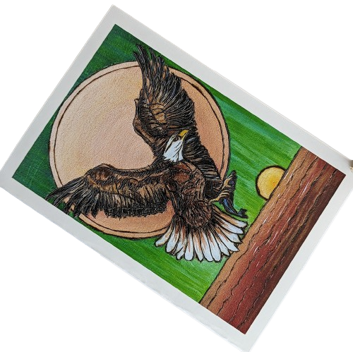 East Coast Birds