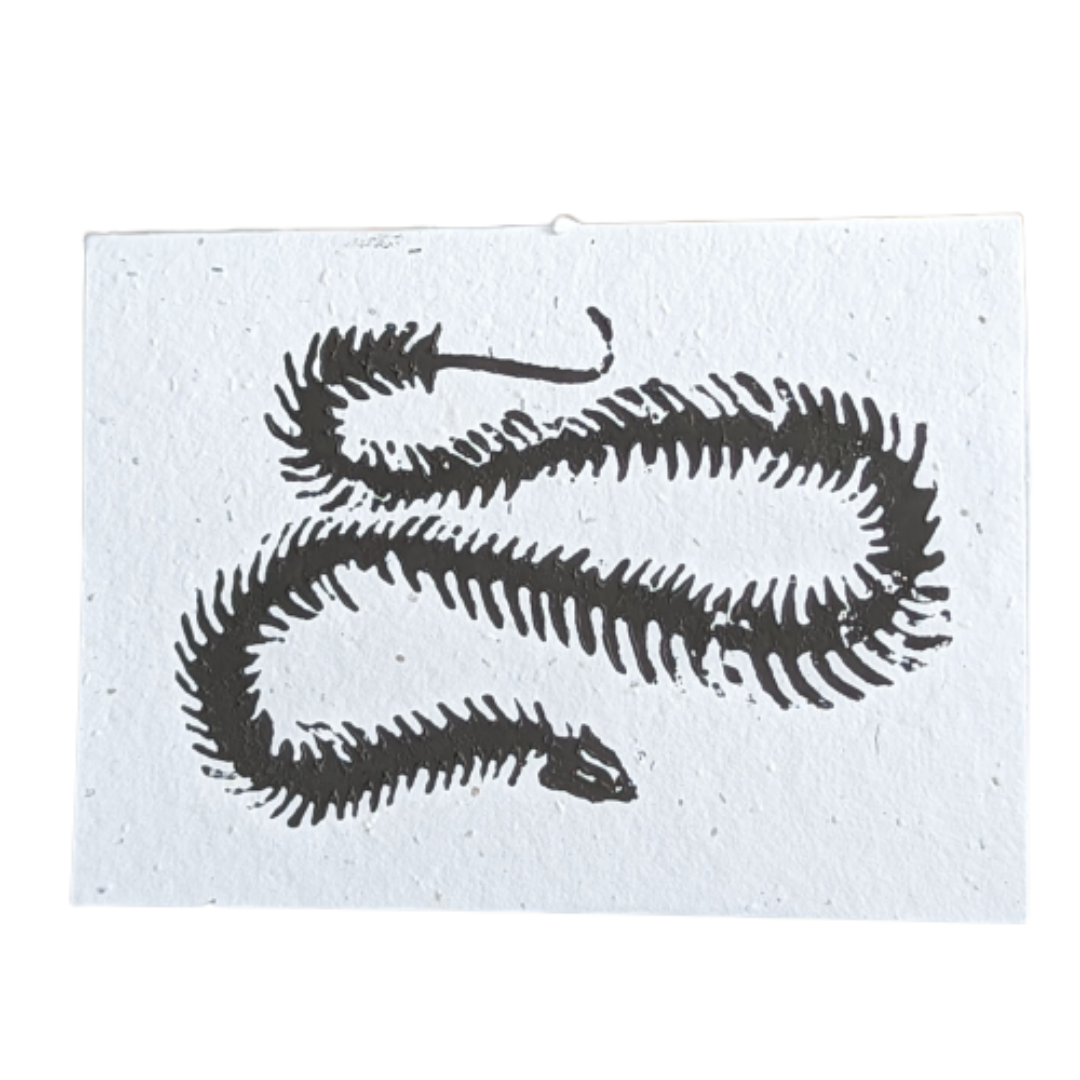 Skeleton Prints