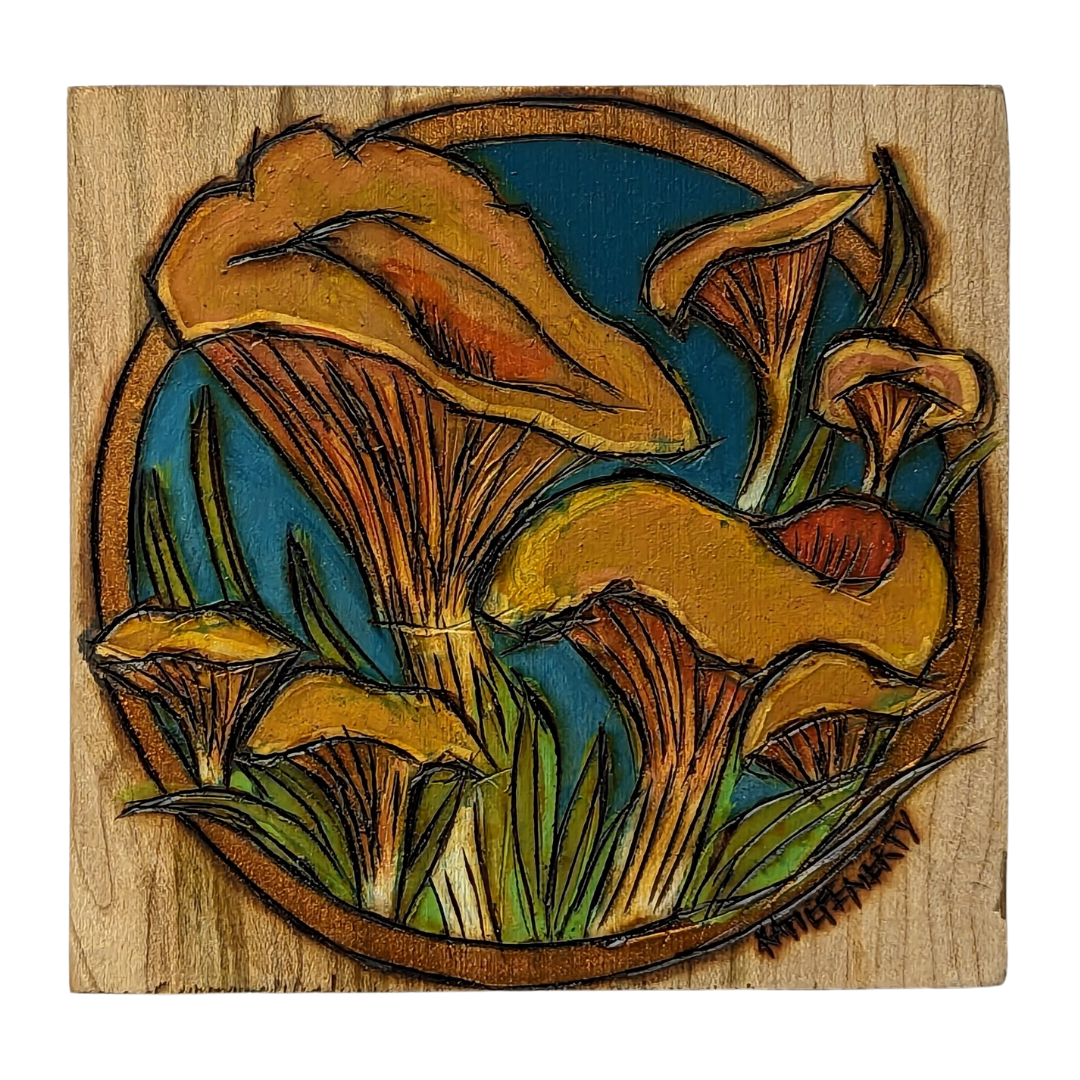 Chanterelle Mushrooms