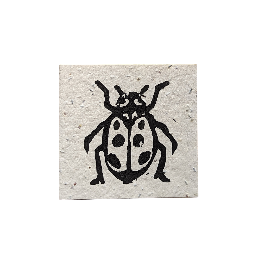 Mini Lady Beetle