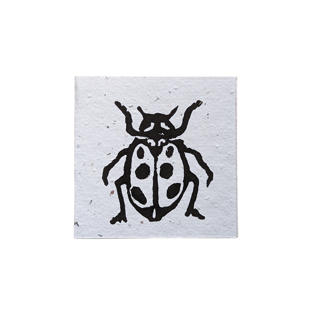 Mini Lady Beetle