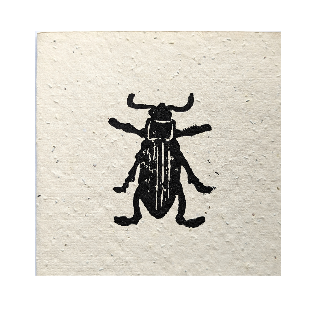 Beetle