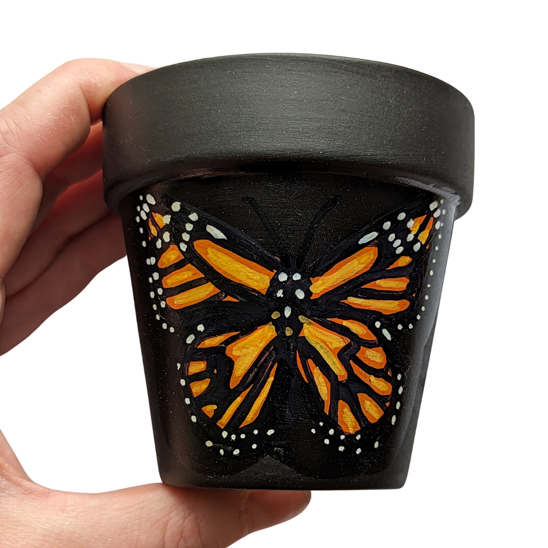 Monarch