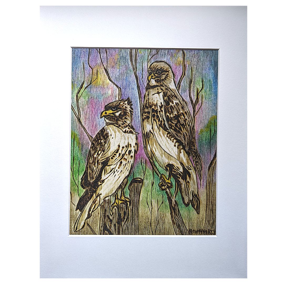 Red-Tailed Hawks
