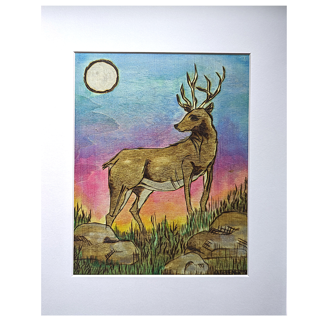 White-Tailed Deer