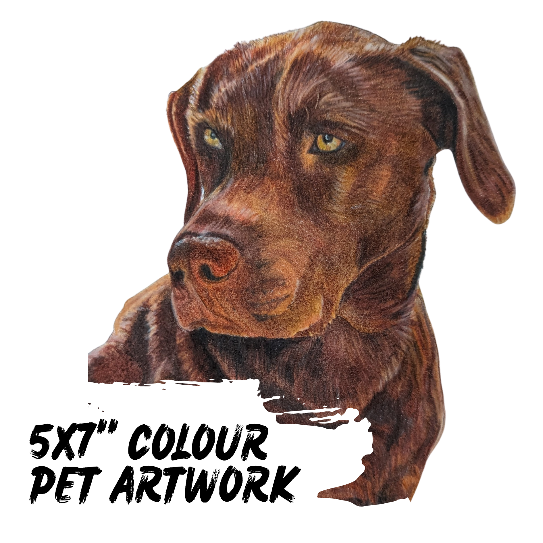 5 x 7" Colour Pet Artwork