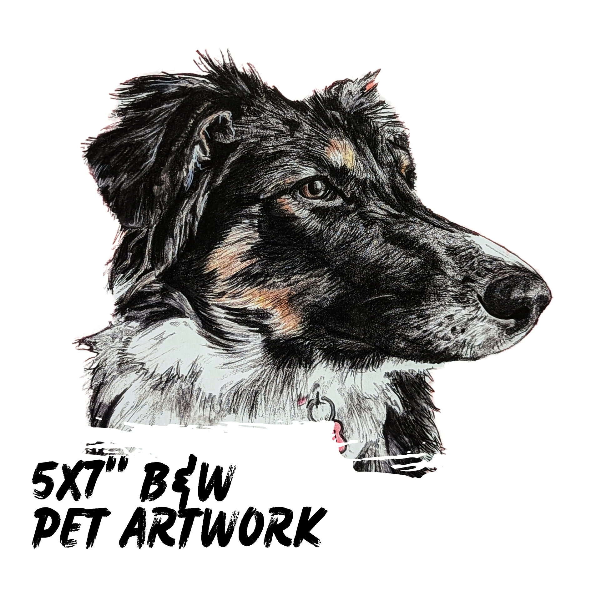 5 x 7" Black & White Pet Artwork