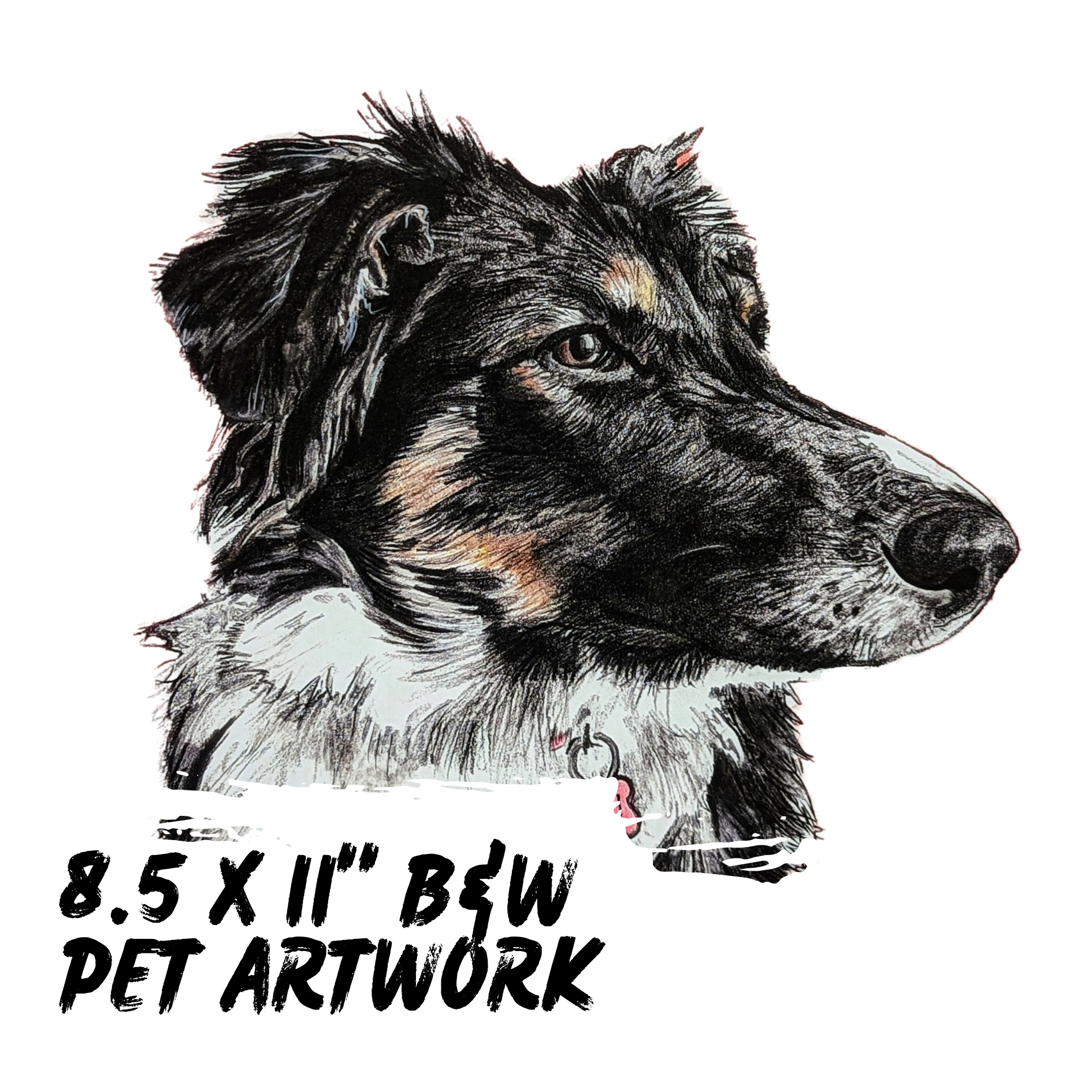8.5 x 11" Black & White Pet Artwork