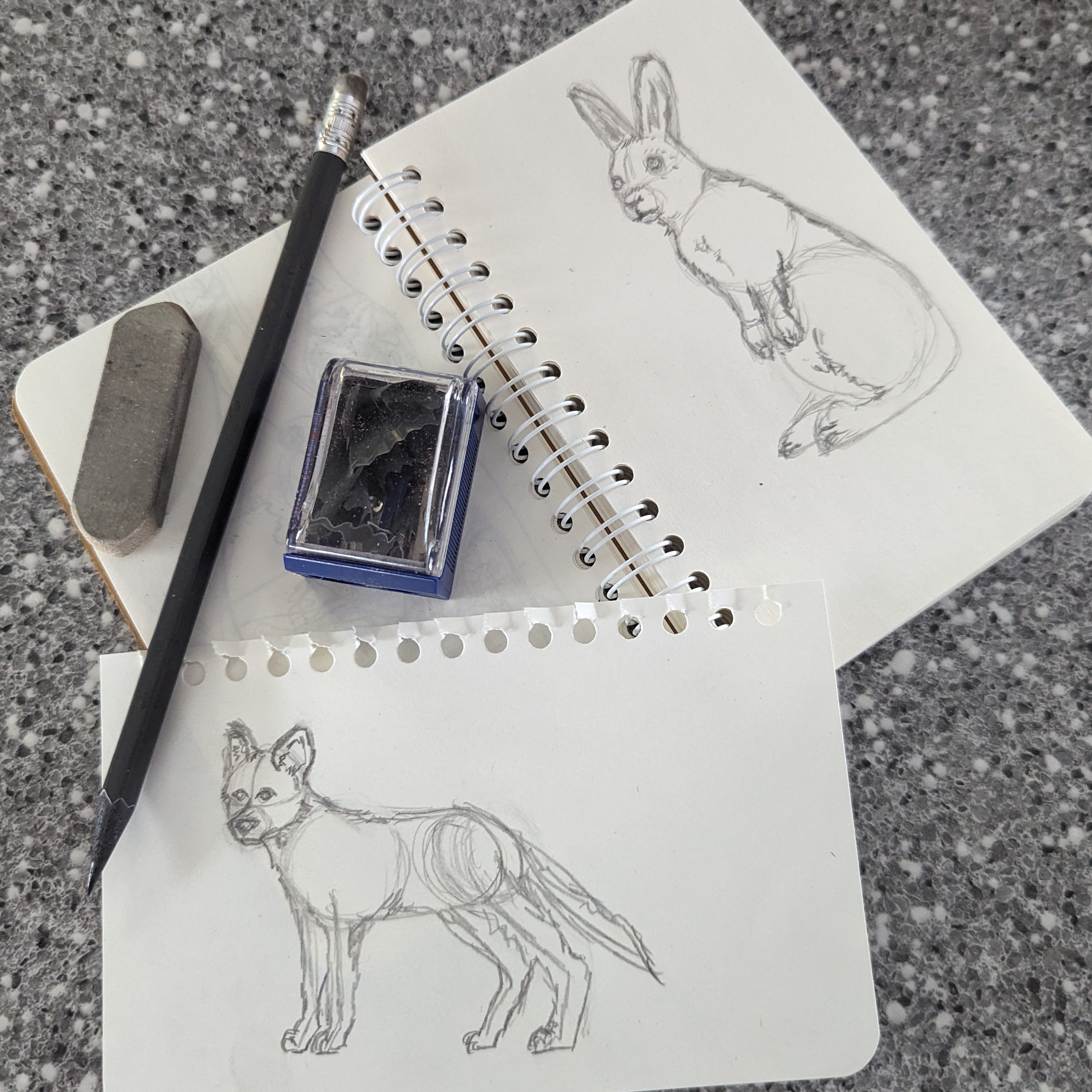 Learn to Draw Winter Animals