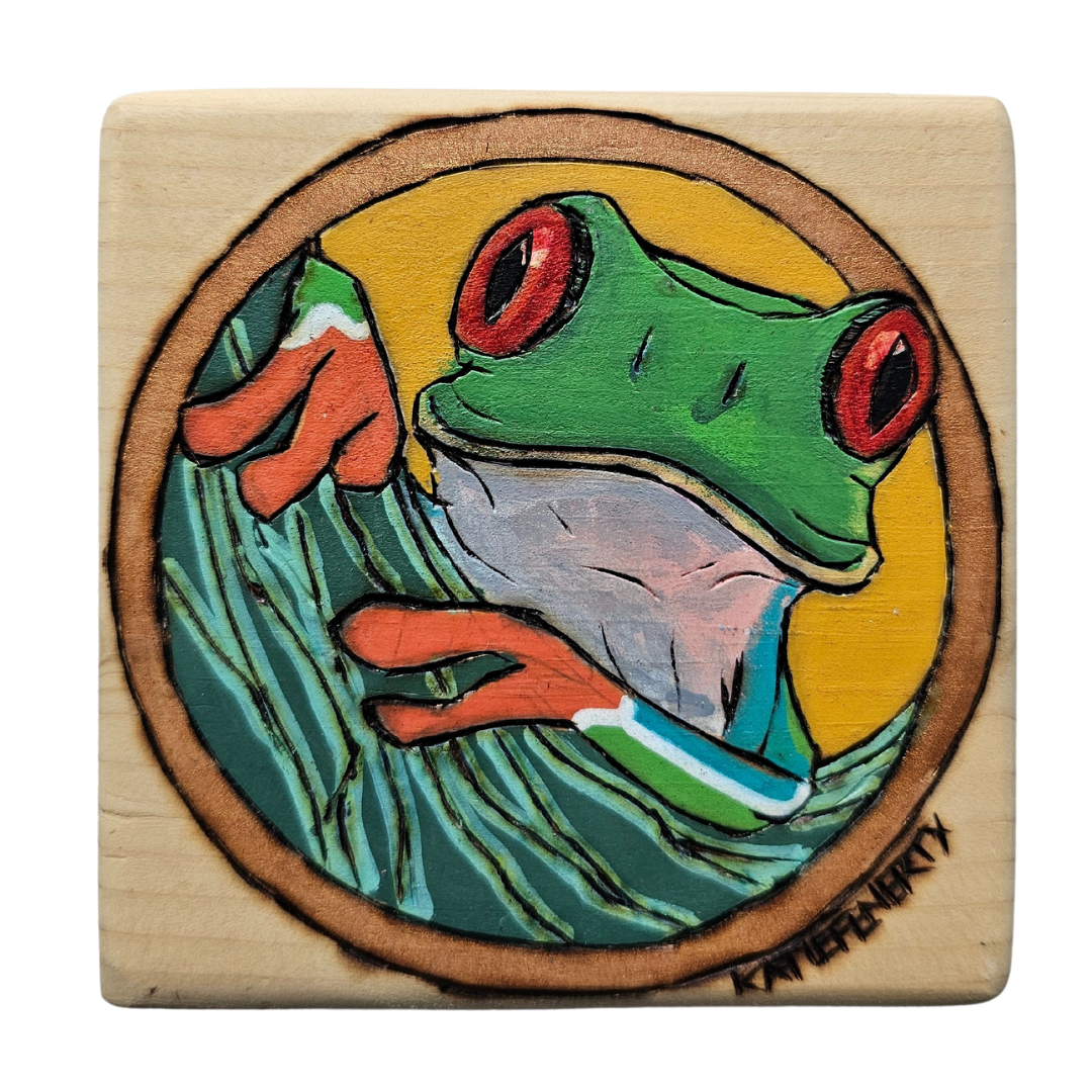 Red Eyed Tree Frog