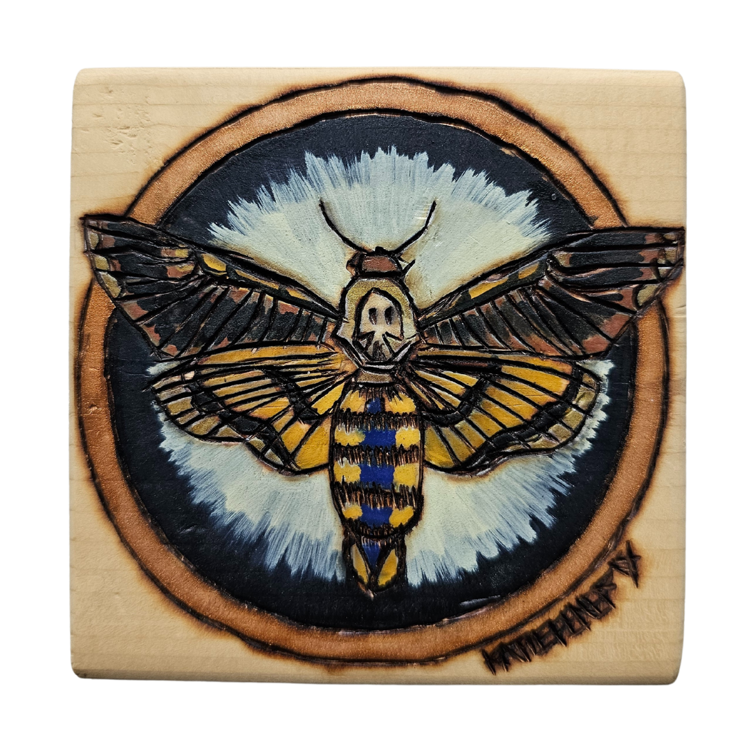Death Moth