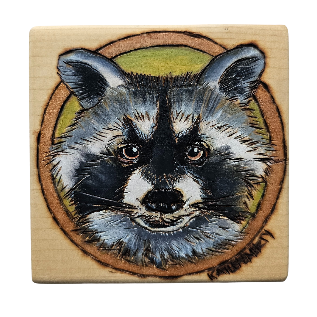 Raccoon