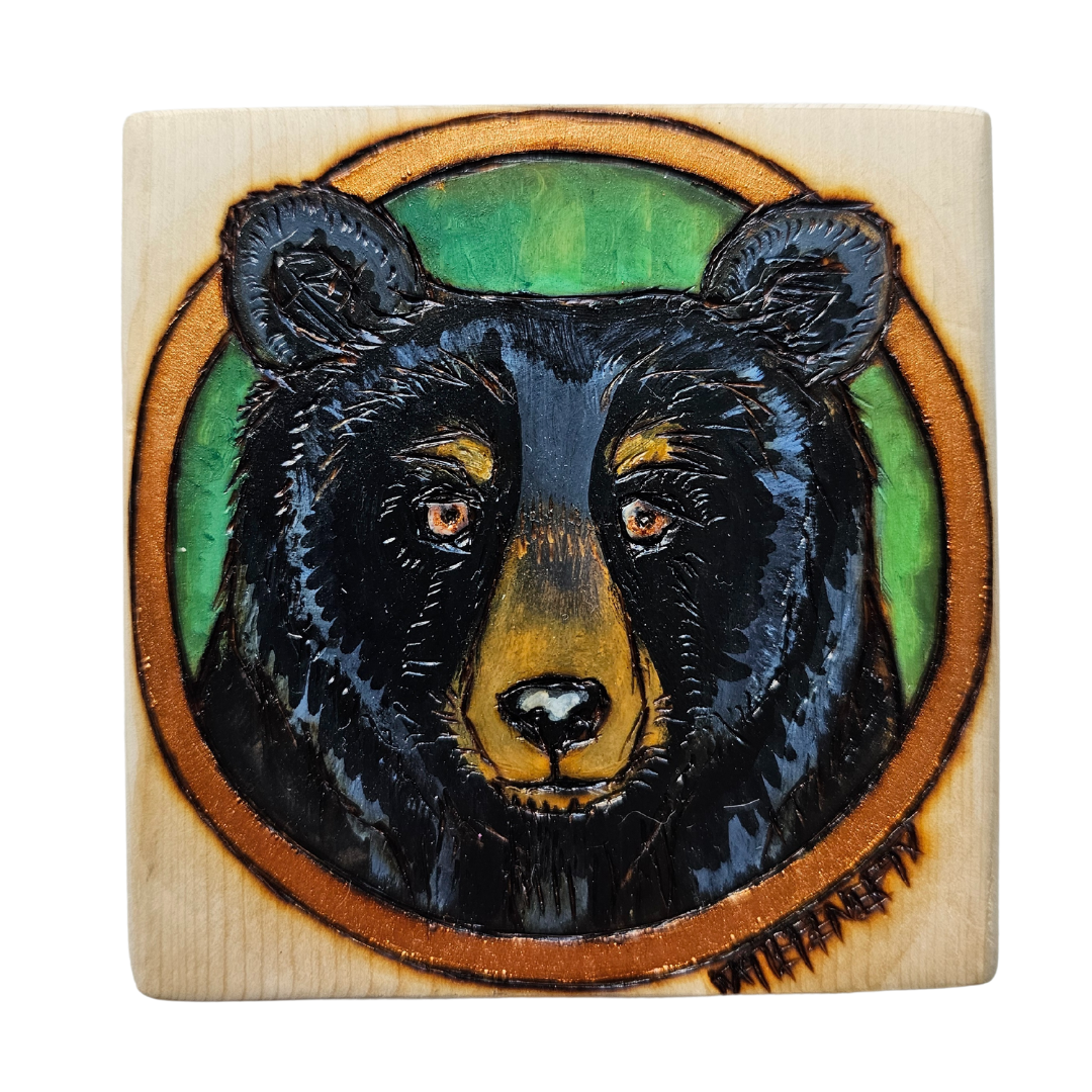 Black Bear