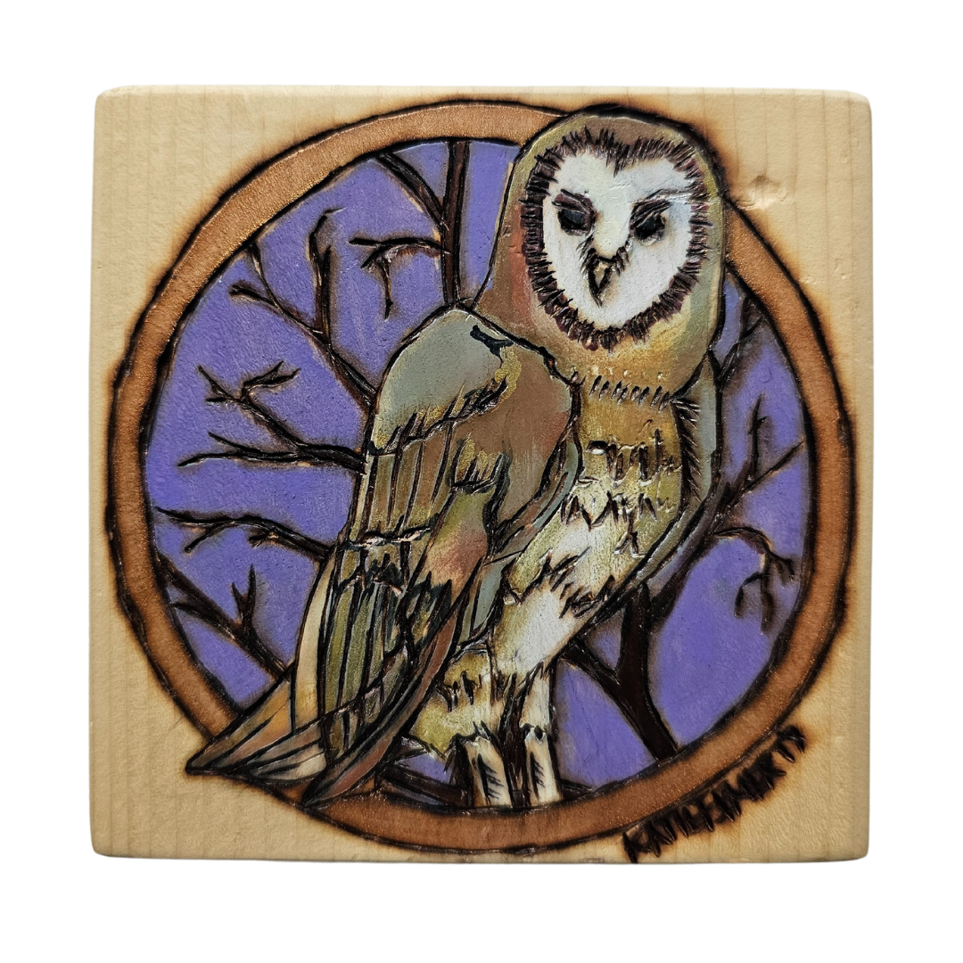 Barn Owl