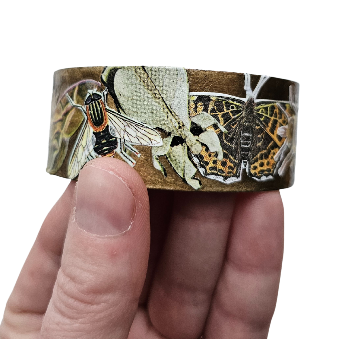 Beautiful Bugs Bracelet