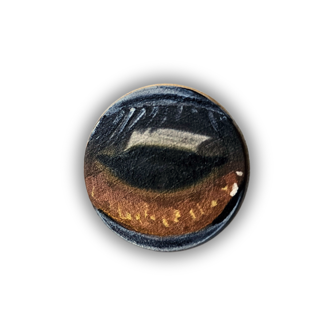 0.5" Horse Eye Pin