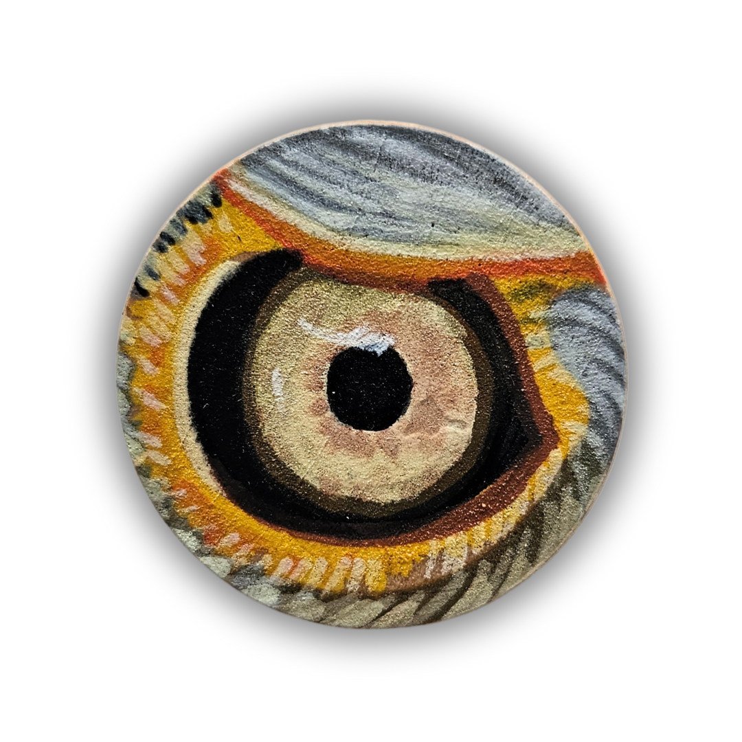 1" Bald Eagle Eye Pin