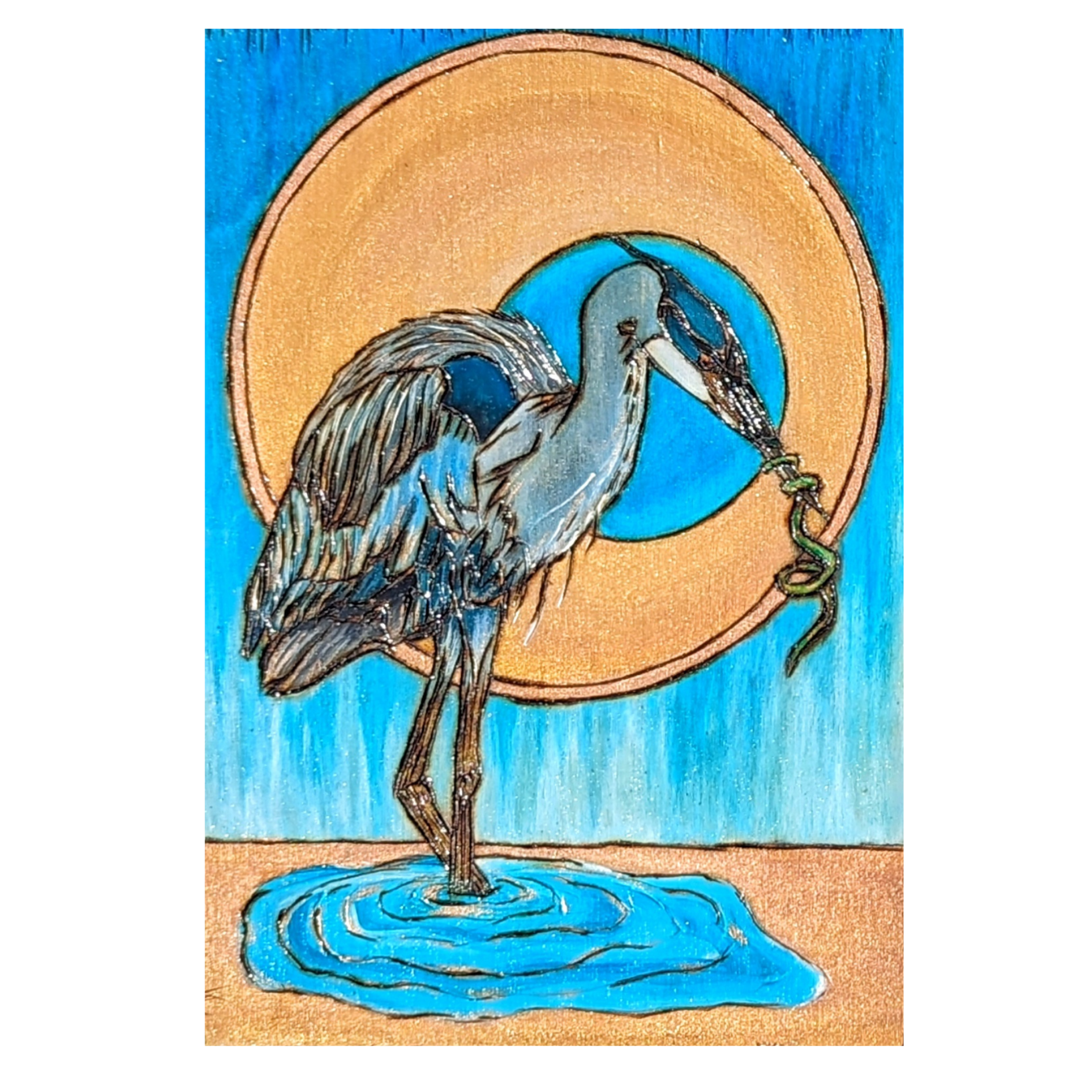 Standing Heron
