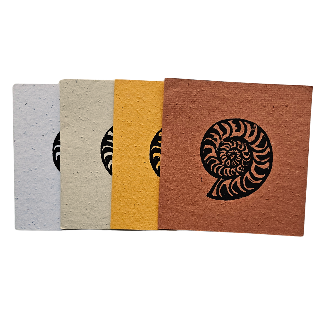Ammonite