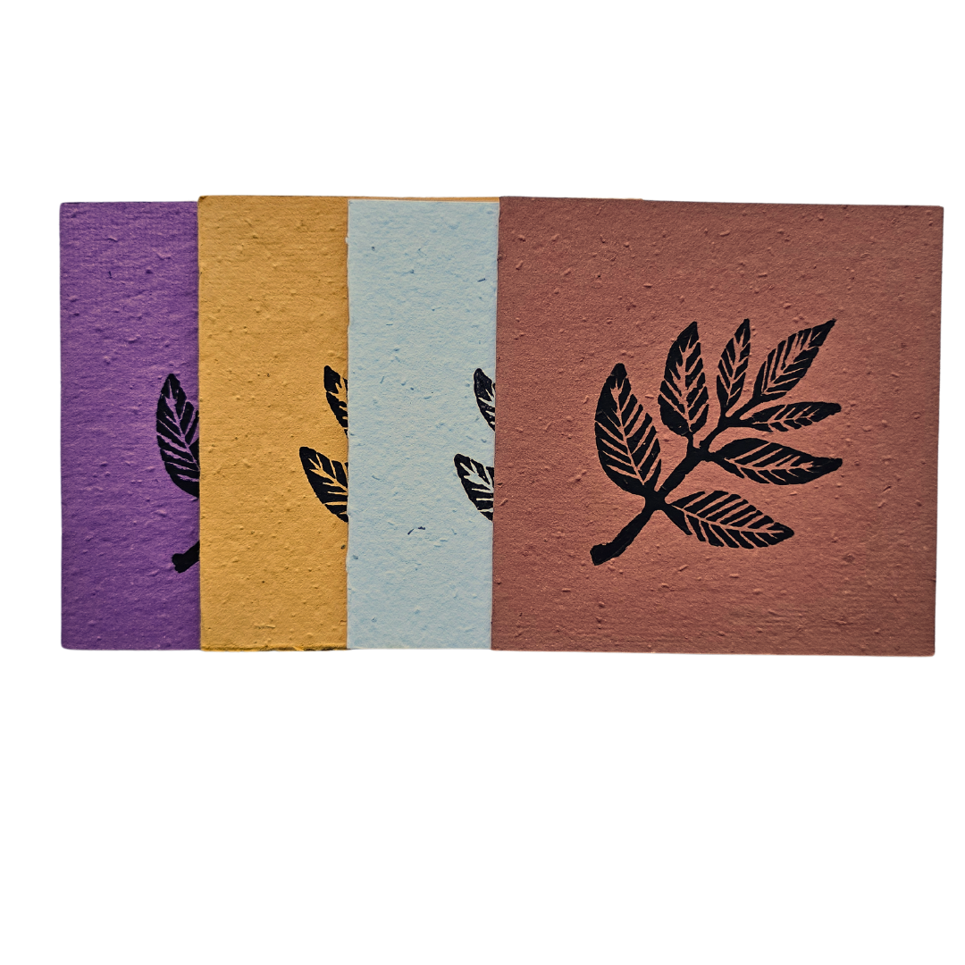 Ash Leaf